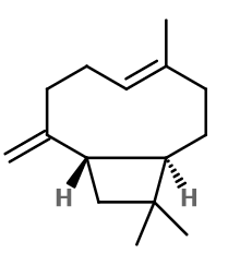 Beta-caryophyllene (CAS N° 87-44-5)​