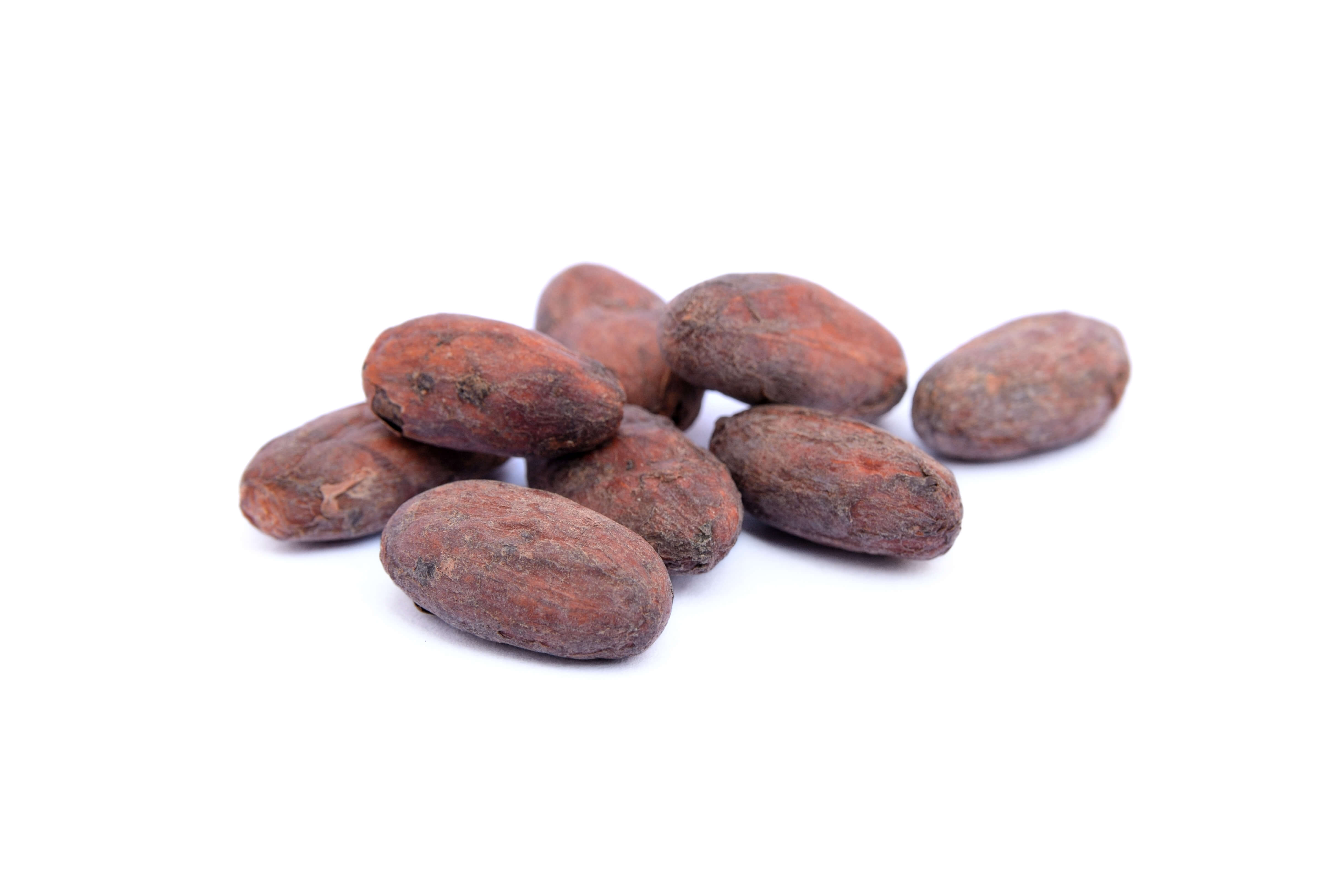 Cacao absolute (CAS N° 8002-31-1)