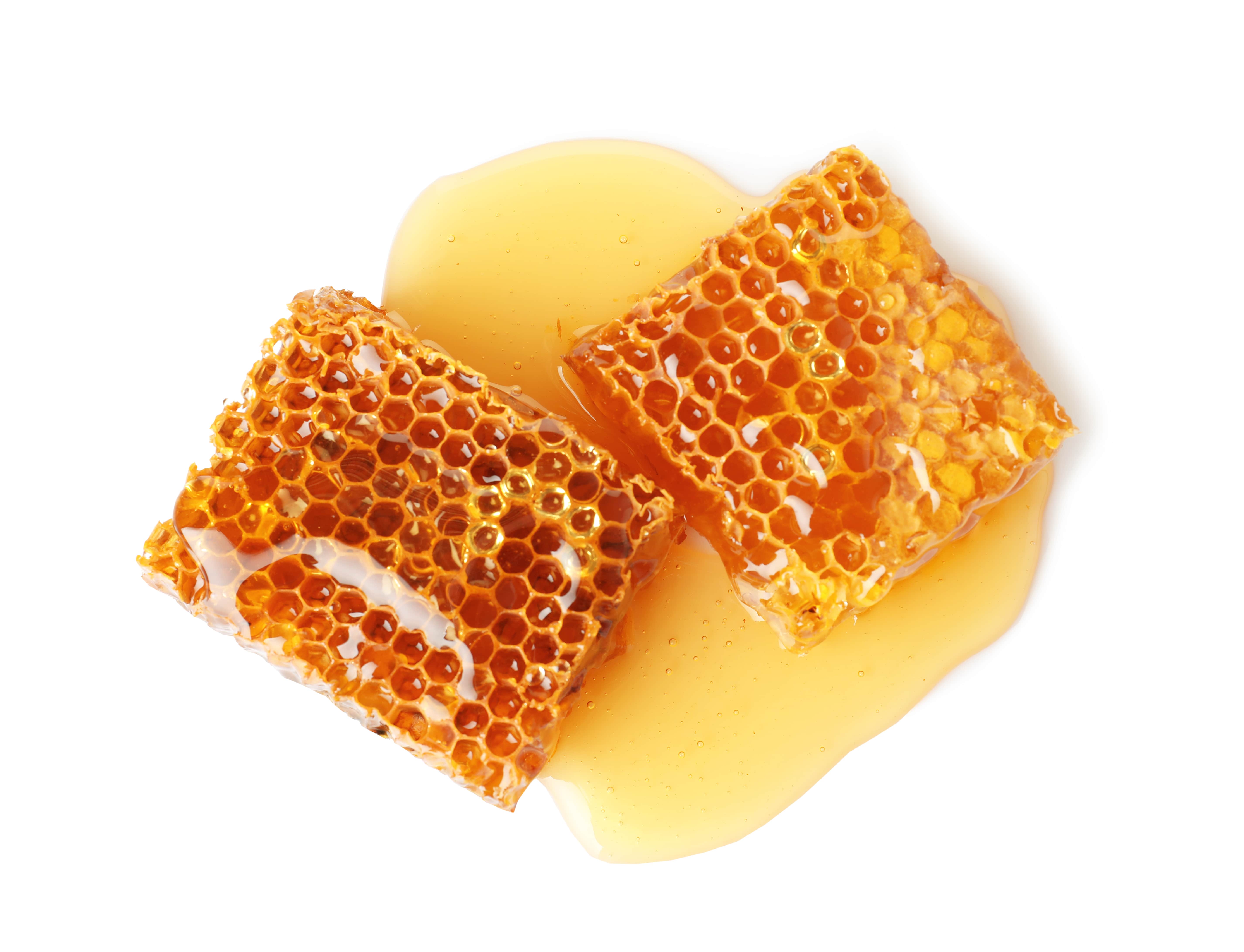 Beeswax absolute (CAS N° 8012-89-3)