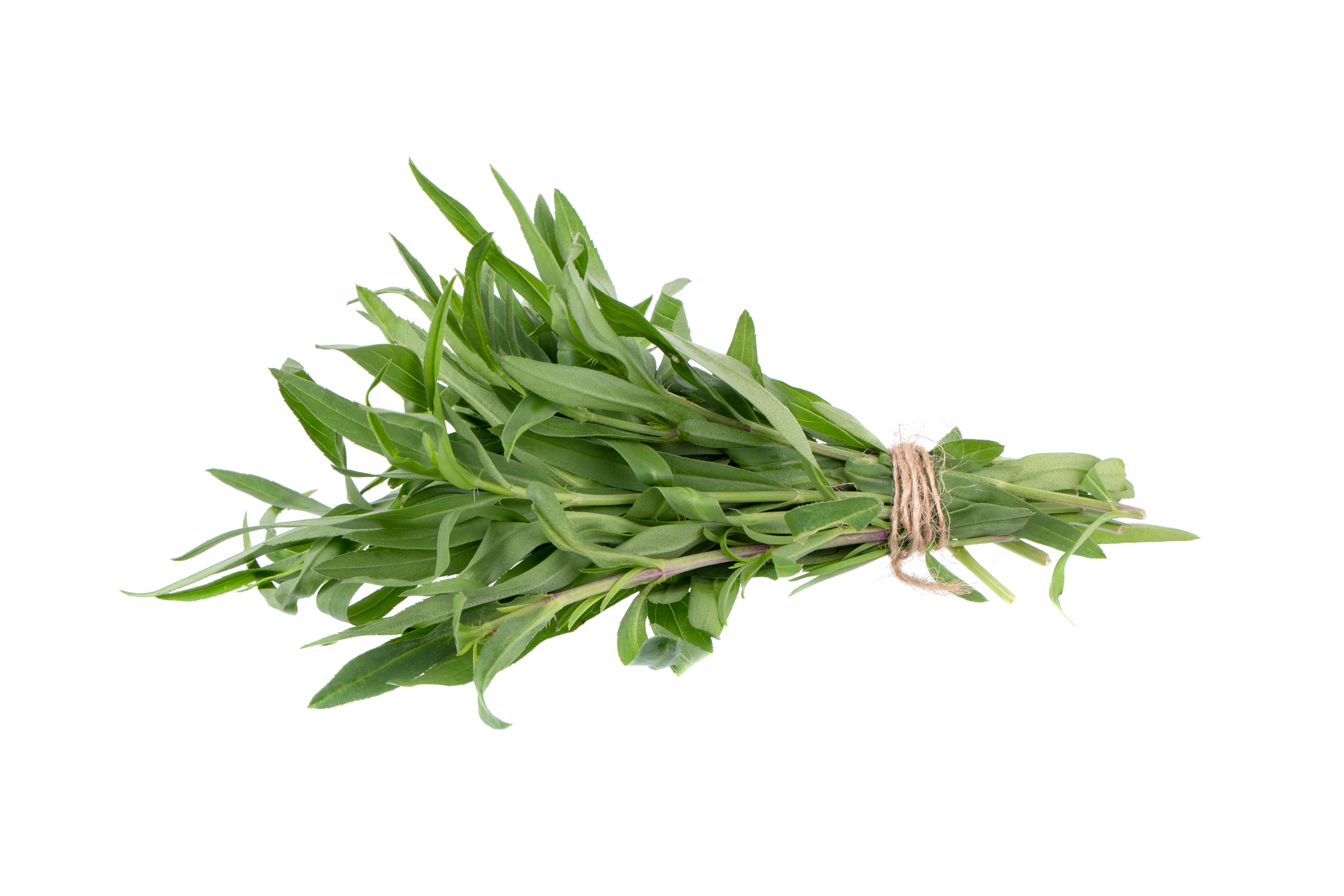 Tarragon oil (CAS N° 8016-88-4)