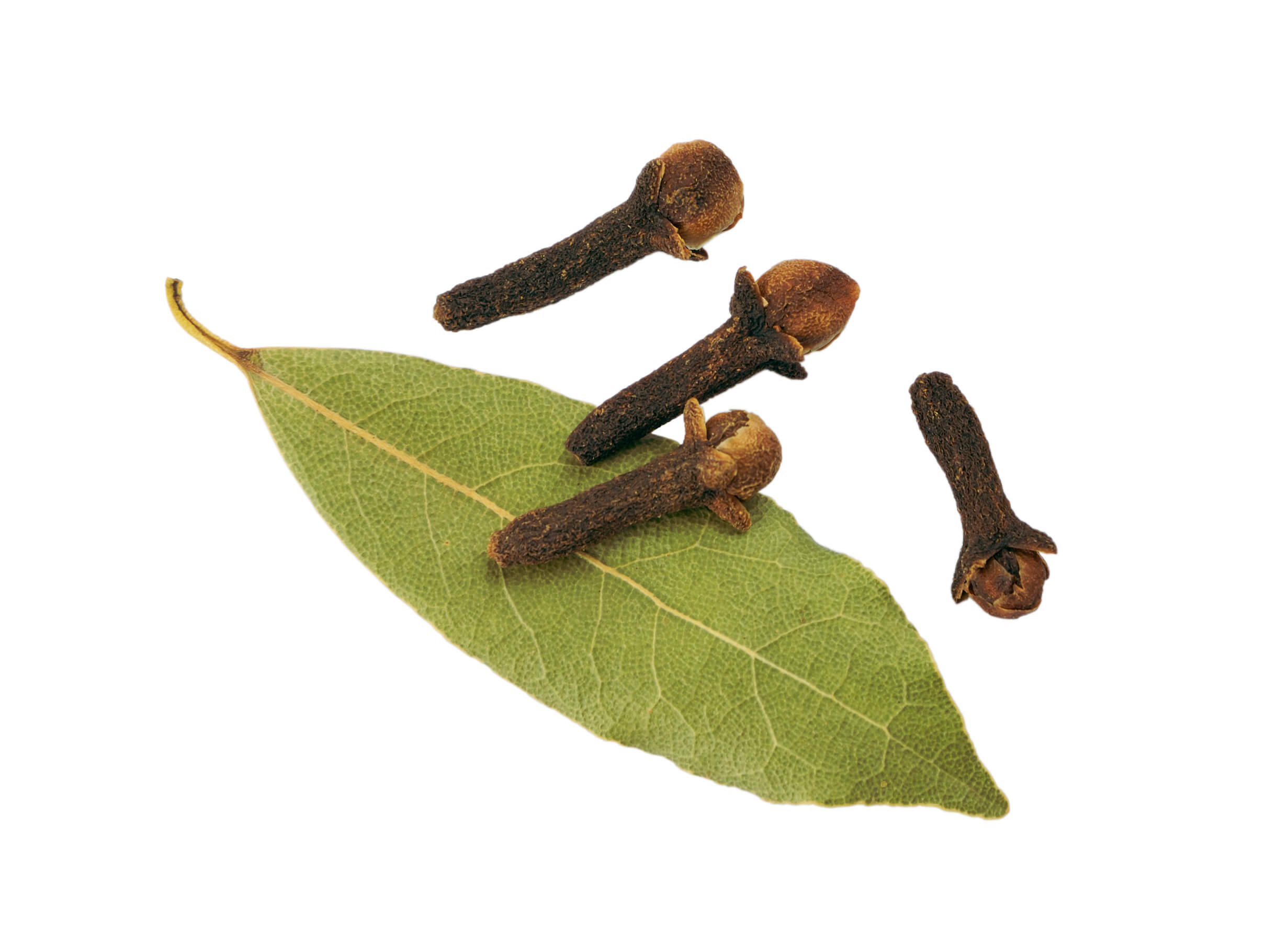 Clove leaf oil (CAS N° 8000-34-8)