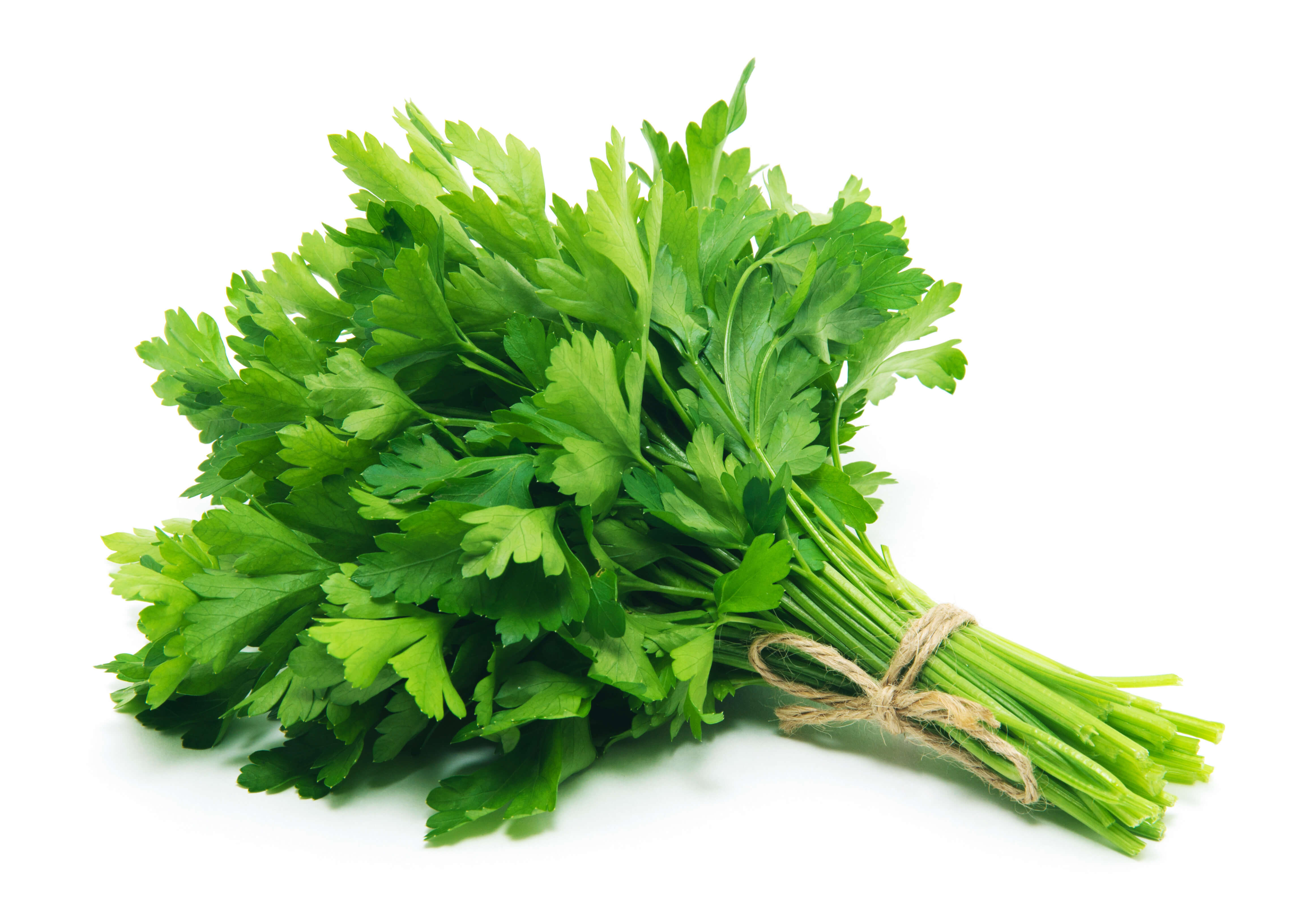 Parsley herb oil (CAS N° 8000-68-8)