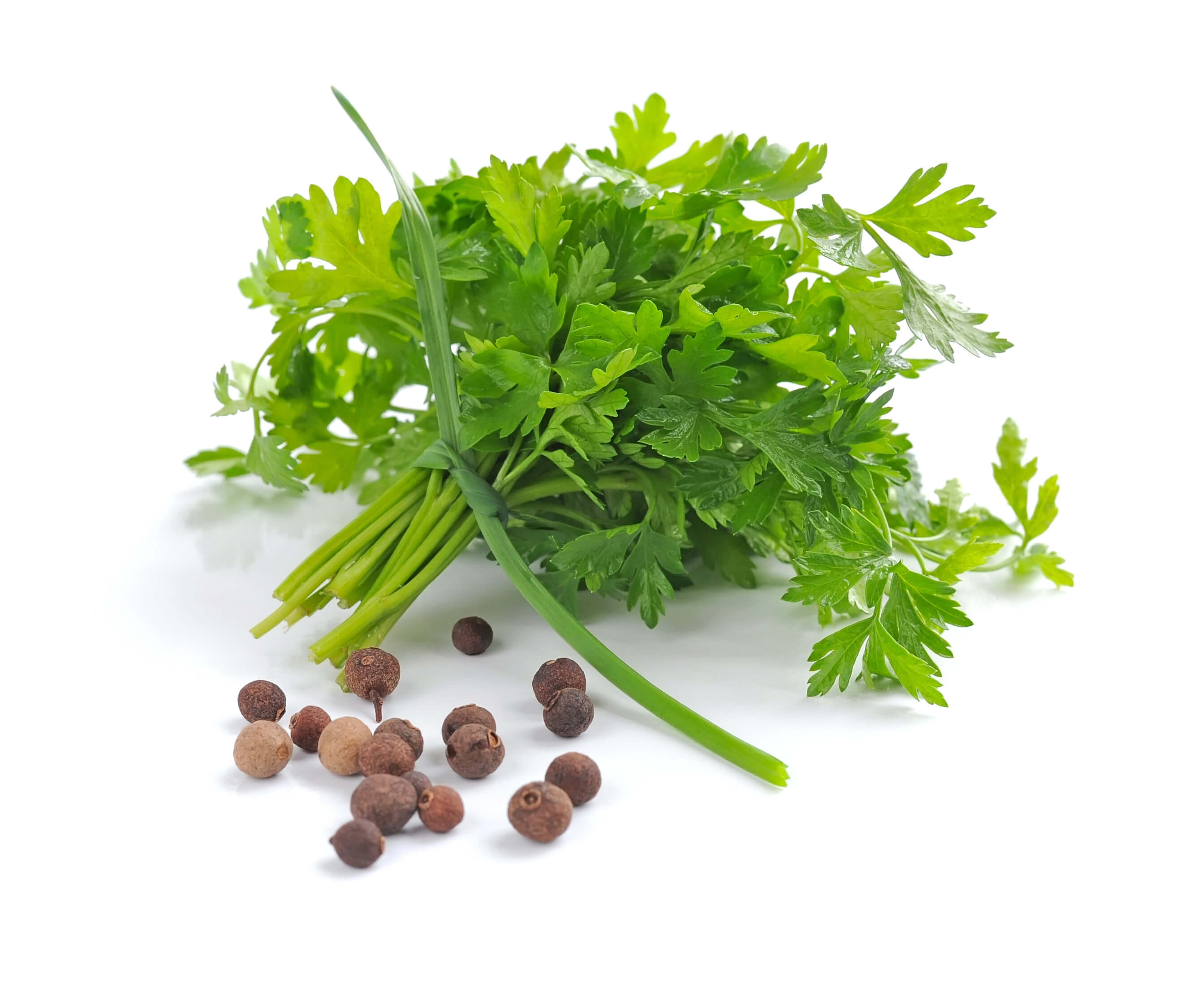 Parsley seed oil (CAS N° 8000-68-8)