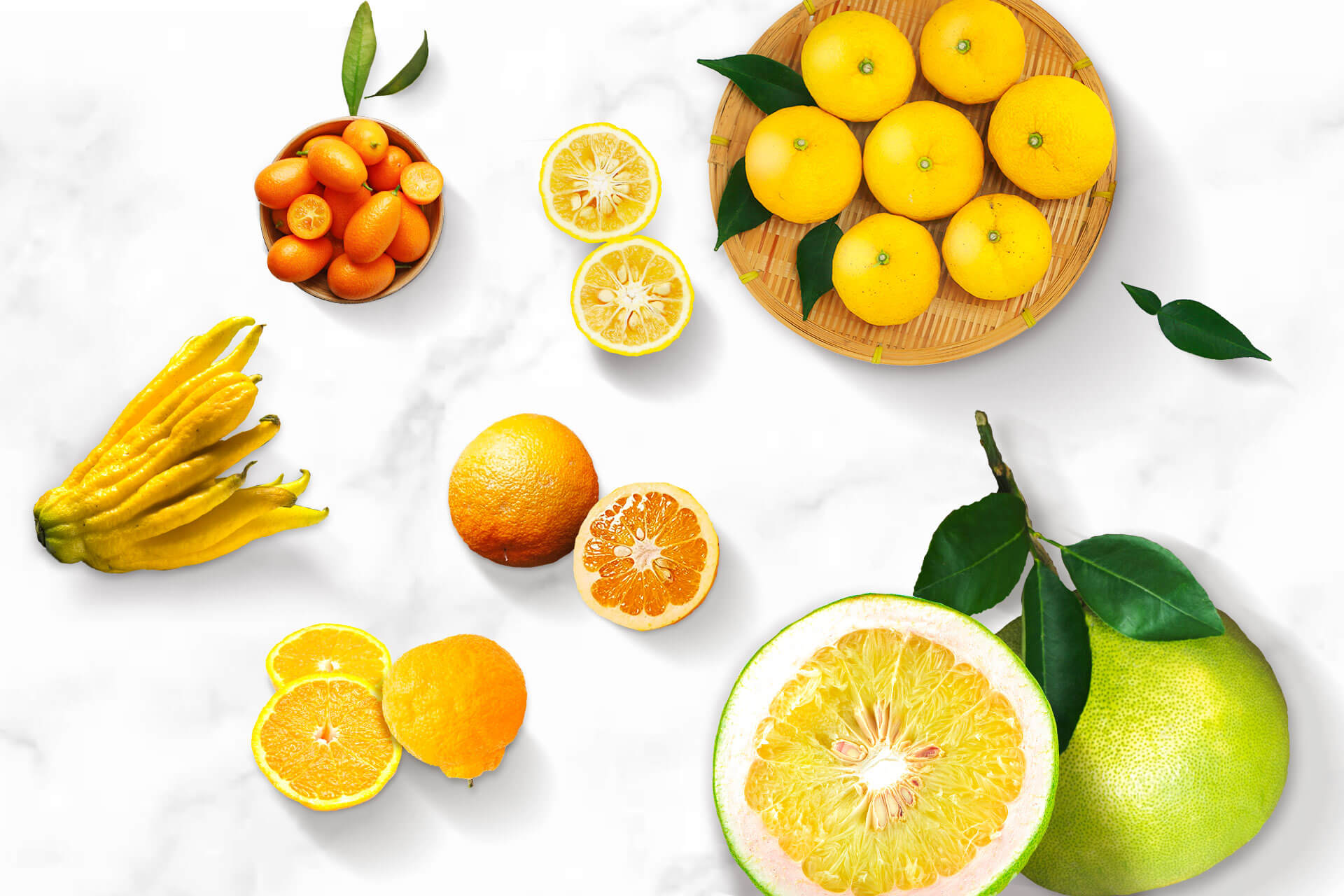 Citrus