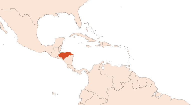 Map for Styrax oil (Honduras) (CAS N° 8046-19-3)​