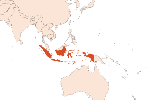 Map for Vetiver oil (Java) (CAS N° 8016-96-4)​